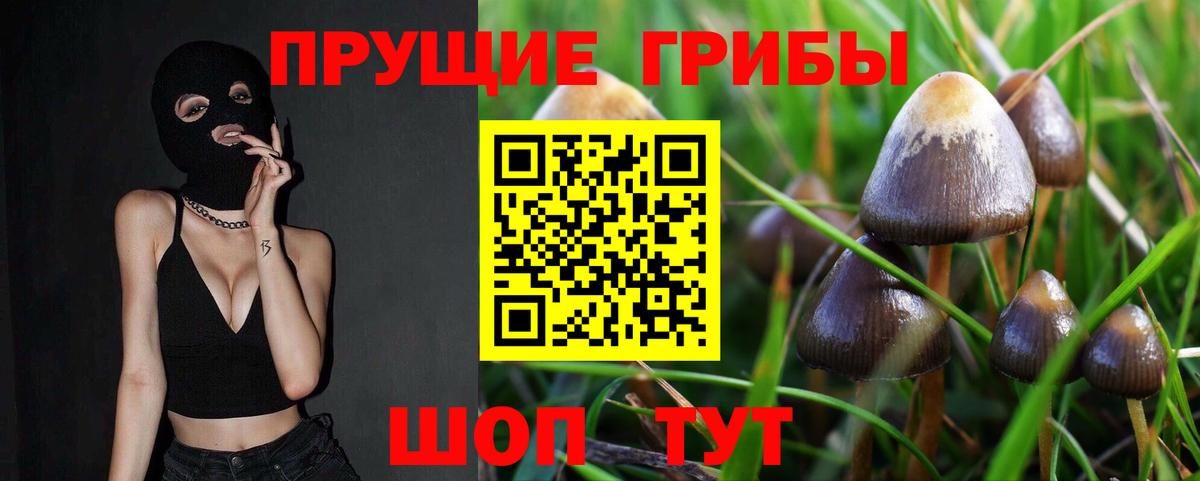 Галлюциногенные грибы GOLDEN TEACHER  Вход с VPN  Псилоцибиновые грибы ЛСД  Великий Устюг 